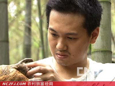 [致富经]80后海归彭然林下养鸡进山赚百万