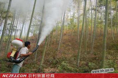 竹林病虫害防治方法