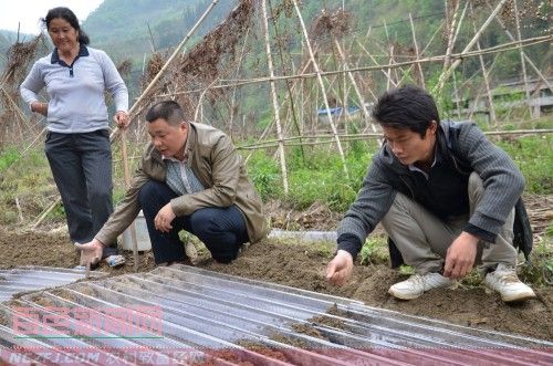 凌云县留住农民在家门口实现致富梦