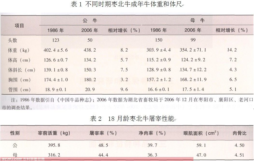 农村养殖致富经_致富养殖农村有补贴吗_农村致富养殖项目