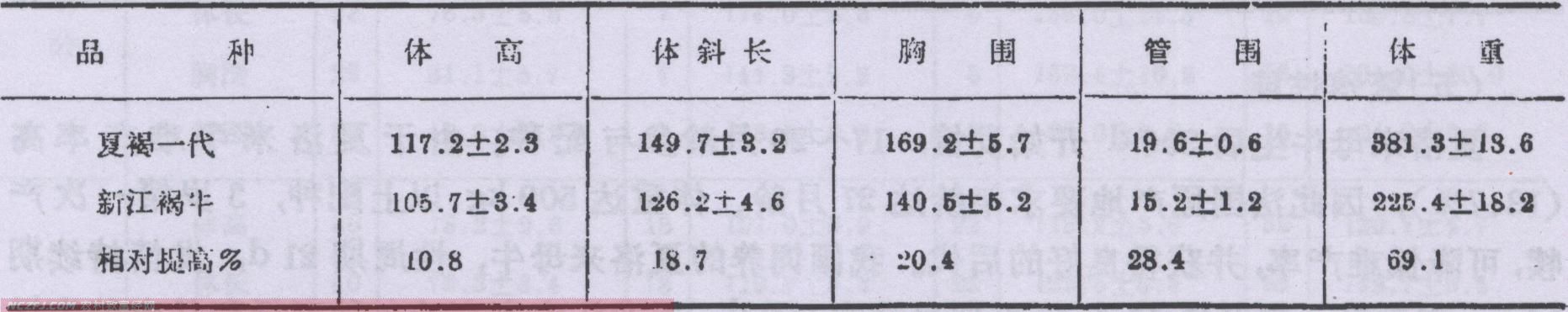 表9     夏褐一代与新江褐牛体尺和体重比较