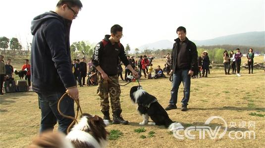 [致富经]驯狗达人 任性赚钱(20150420)