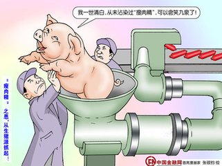 蒙自市持续开展瘦肉精专项整治总结