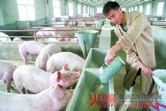 猪能量饲料、蛋白饲料和粗饲料的特点