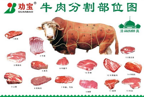 肉牛分割技术、肉牛分割部位和方法　[农广天地]