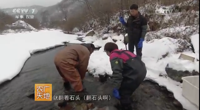 [农广天地]不一样的冬味 烤出来的冬味