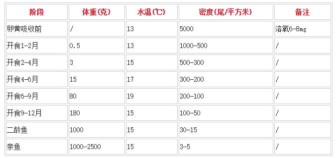 虹鳟鱼的人工繁殖技术 虹鳟鱼高产人工养殖技术