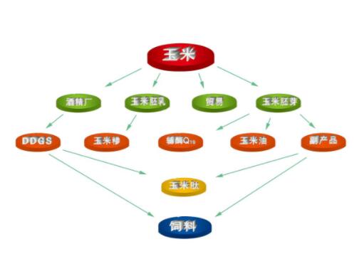 玉米加工副产品的特性与工艺特性