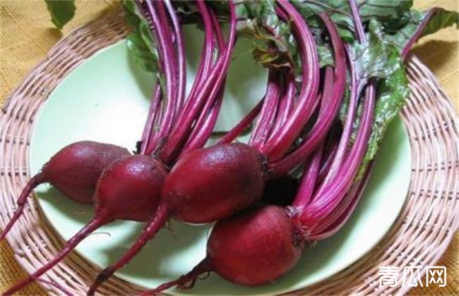 甜菜低产的原因