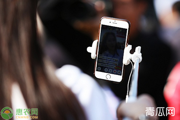 2020年农村生意做什么好呢？这几个能年入百万！