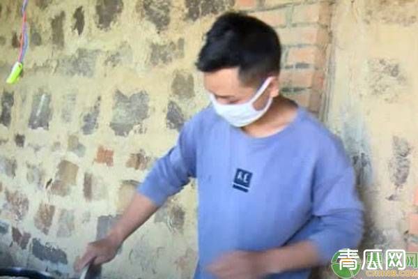 退伍军人回乡养竹鼠，带领村民入股，户均年增收1.5万元！
