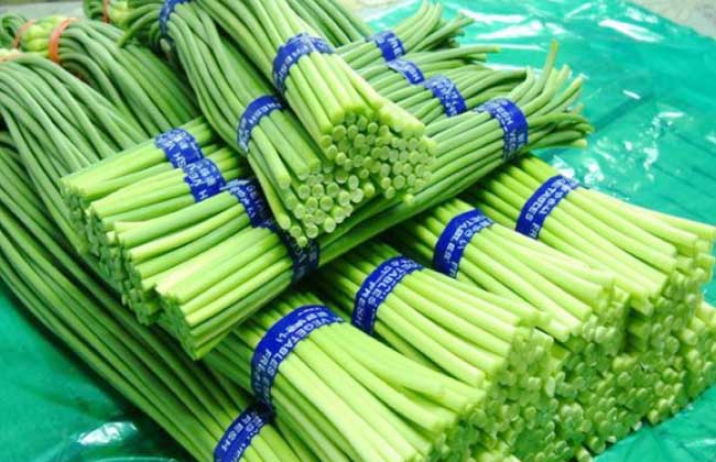 蒜薹多少钱一斤？2020蒜薹价格下降了吗
