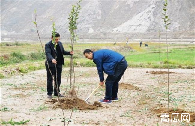 果树不同季节栽培注意事项