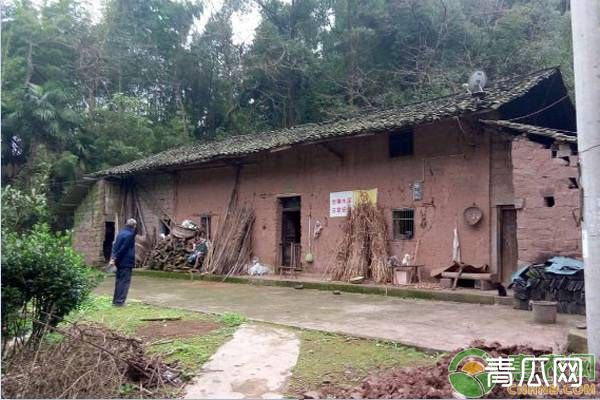 农村宅基地占用补偿一平多少钱？2020年国家占用宅基地赔偿新标准