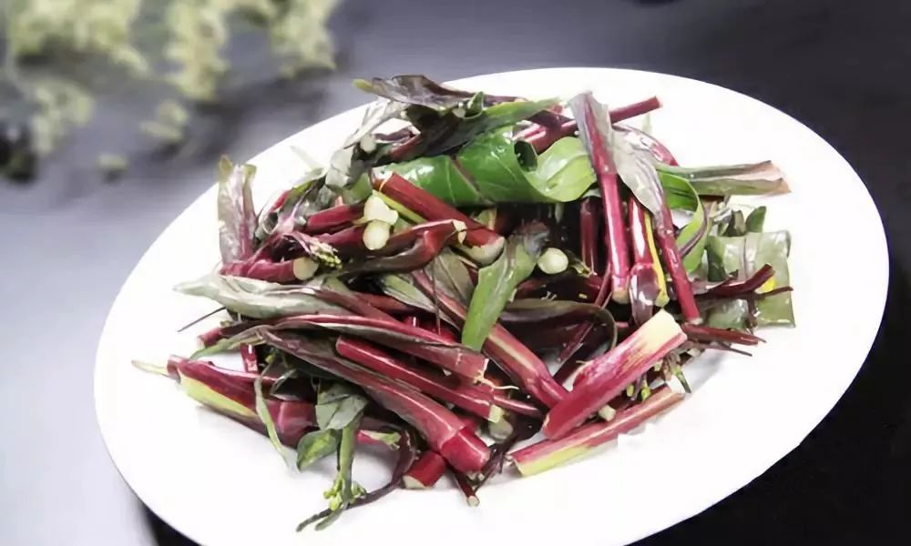 红油菜苔防治常见病害讲解