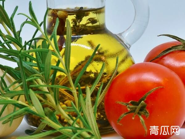 生鲜传奇有什么特点