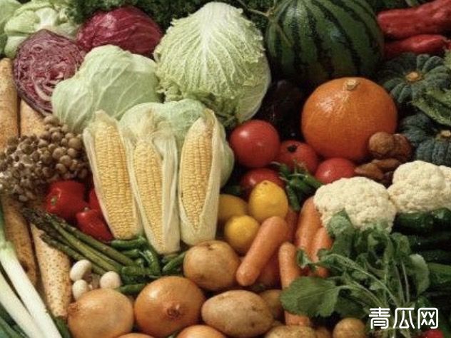自动售菜机怎么样
