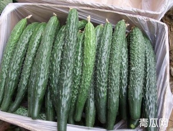 万麦新型便利店为什么这么受欢迎