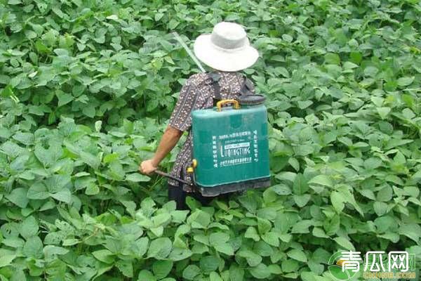 国家禁限用农药名录，这些农药不能卖也不可用，不然会罚款！