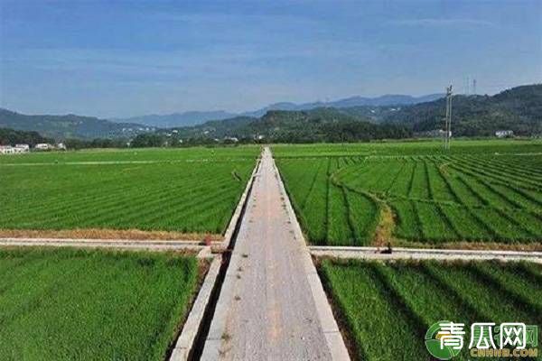 2020年建设10亿亩高标准农田意味着什么？建设要求及关键如何保障？