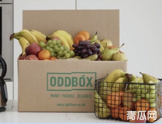 Oddbox融资情况如何