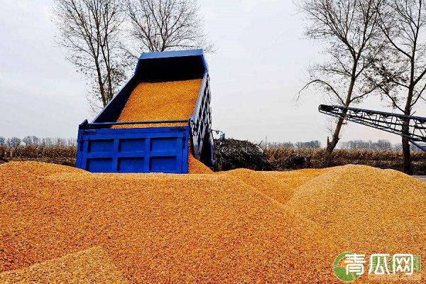 2019年粮食总产量创历史新高！我国主要粮食调控政策一览