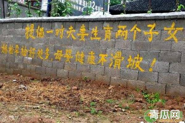 2020年计生新政策解读
