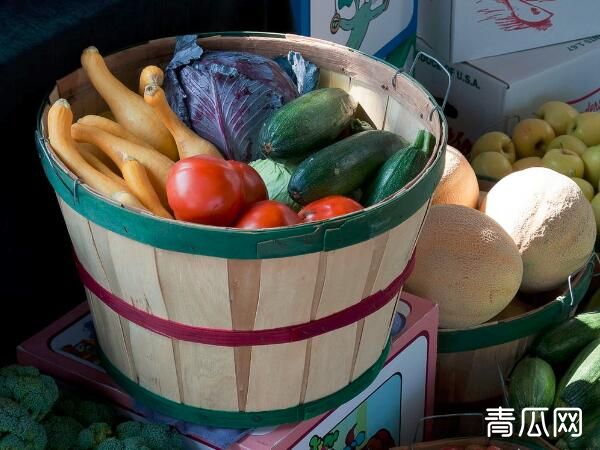 食享会团长怎么而盈利