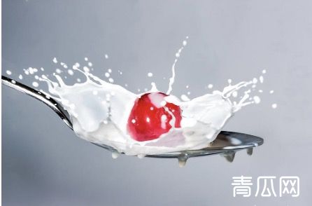 自动售菜机价格如何