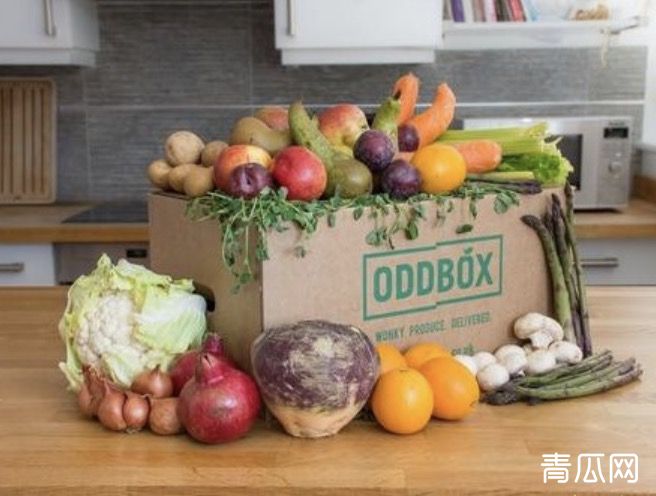 Oddbox生鲜配送好吗