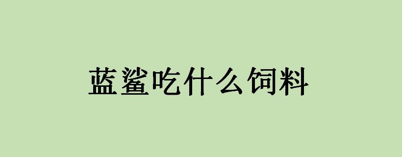 蓝鲨吃什么饲料