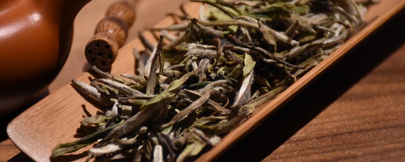 白牡丹是什么茶