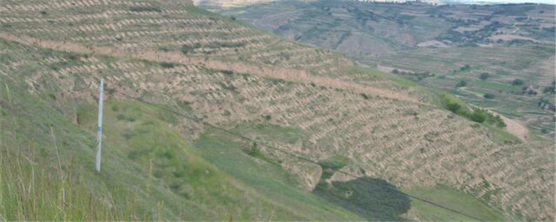 超坡耕地是什么