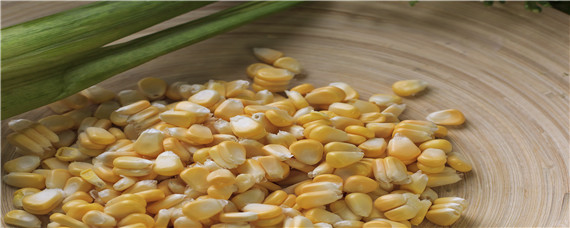 陈玉米种子影响产量吗