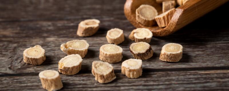 黄芪是什么植物的根