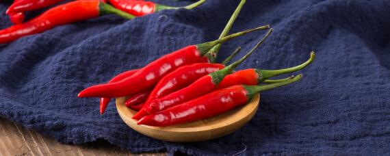 辣椒催芽方法和时间