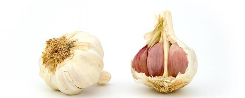 蒜头的种植方法