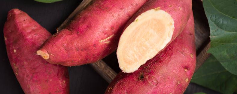 红薯地除草剂什么时候打合适