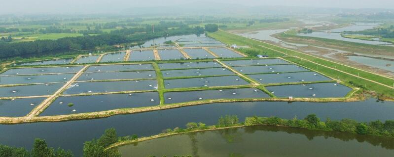 氯化钙水产养殖用法用量