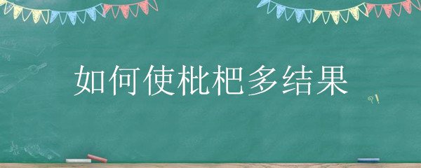 如何使枇杷多结果