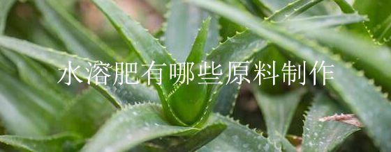 水溶肥有哪些原料制作