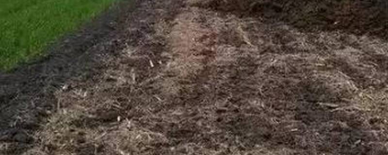 怎样腐熟有机肥