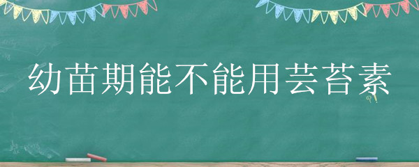 幼苗期能不能用芸苔素