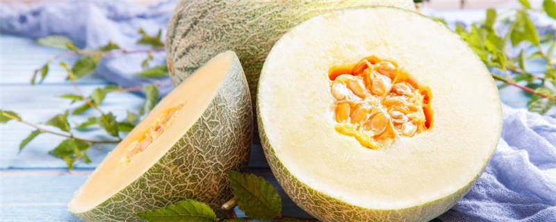 西州蜜25大棚种植技术