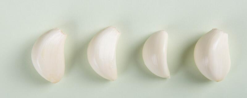 在家里自己怎么种水蒜