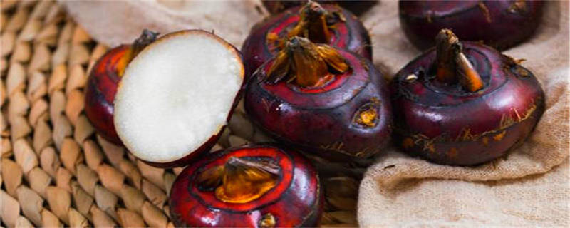 荸荠土传病害怎么治