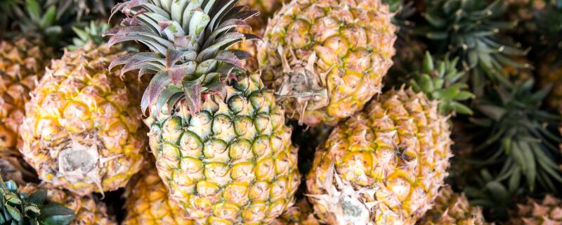 菠萝产自哪里