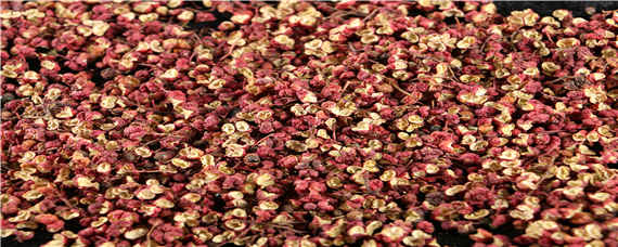 花椒的两种催芽方法