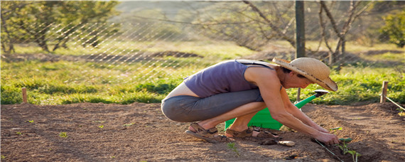 家庭农场需要多少亩地