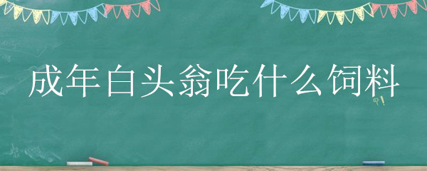 成年白头翁吃什么饲料